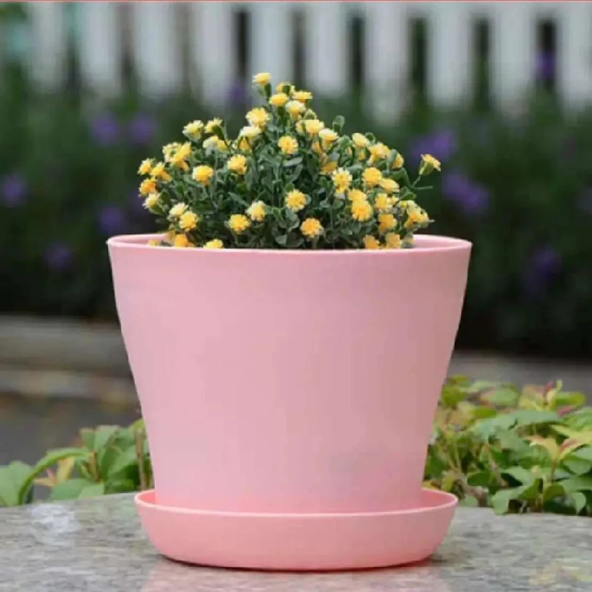 Mini Candy Colour Round Flower Pots for Succulents – Home & Office Décor