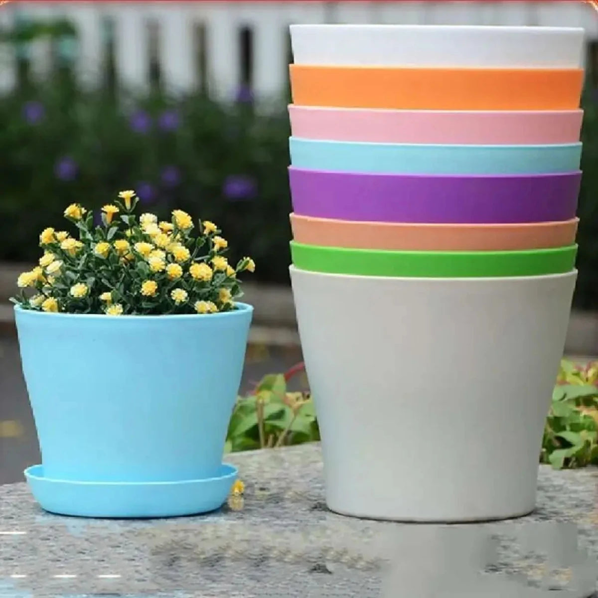 Mini Candy Colour Round Flower Pots for Succulents – Home & Office Décor