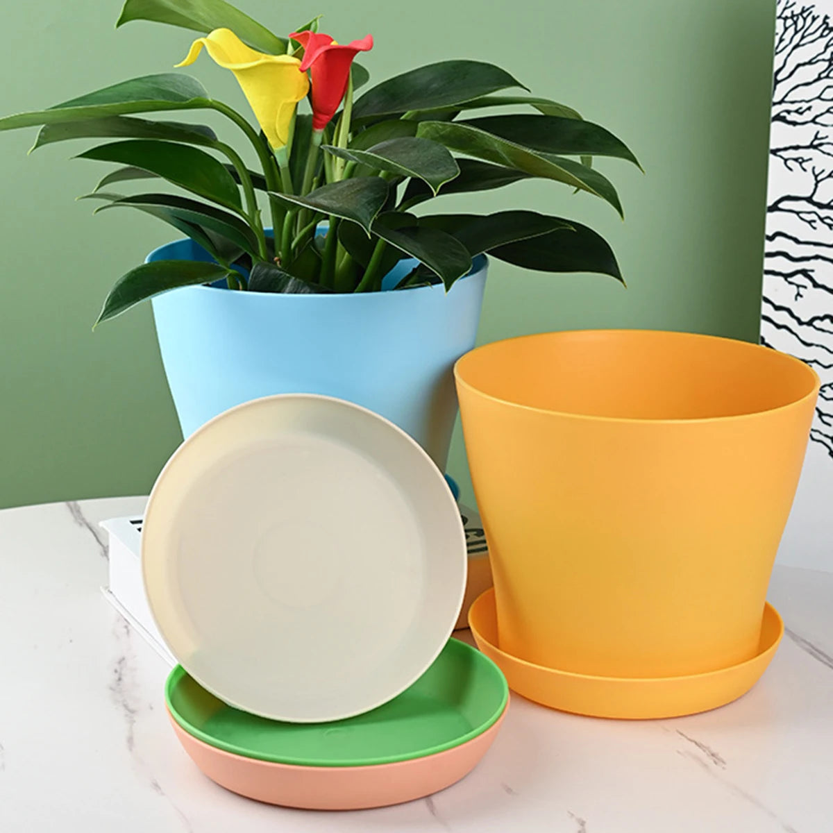 Mini Candy Colour Round Flower Pots for Succulents – Home & Office Décor