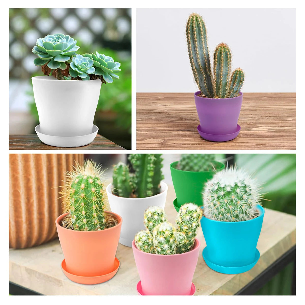 Mini Candy Colour Round Flower Pots for Succulents – Home & Office Décor
