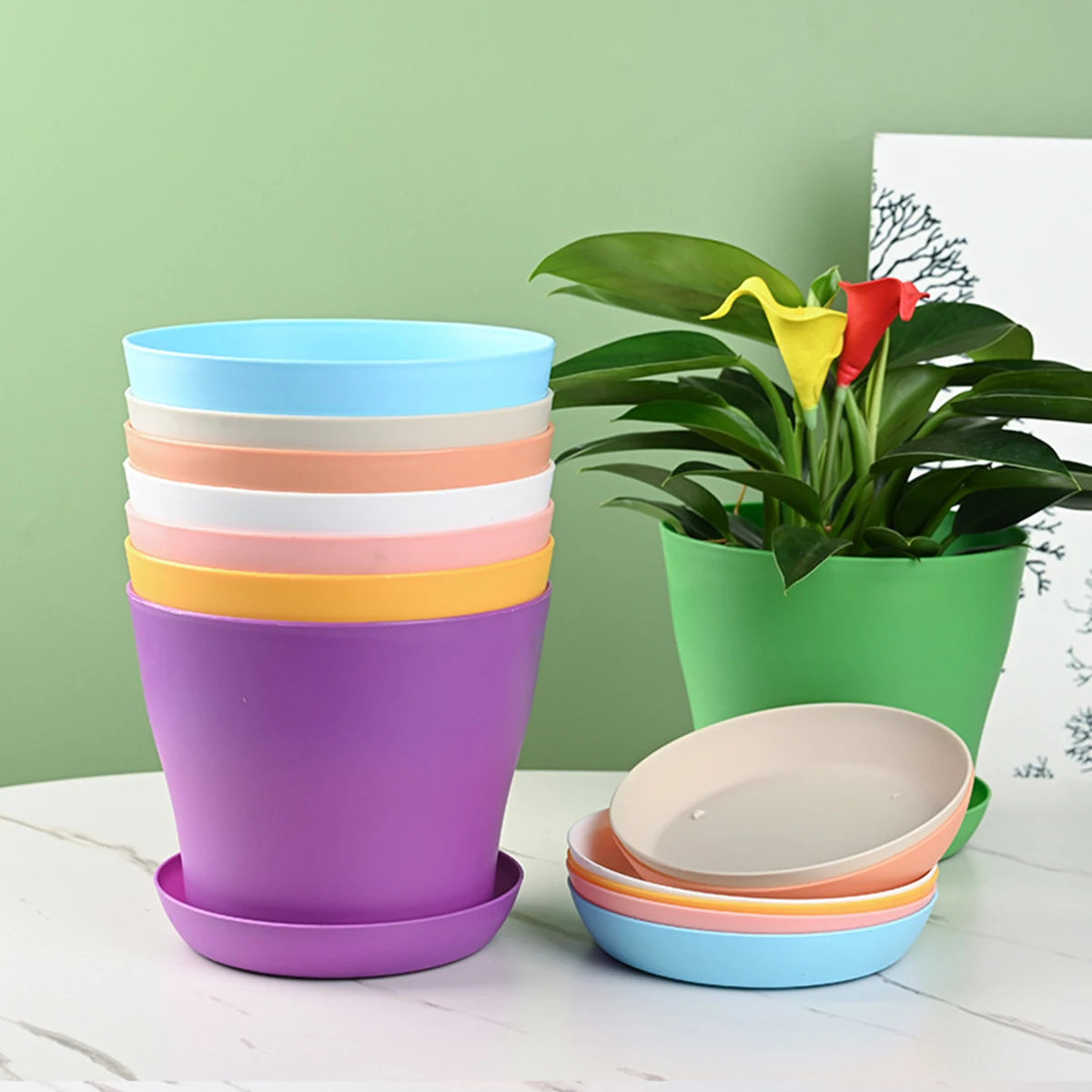 Mini Candy Colour Round Flower Pots for Succulents – Home & Office Décor