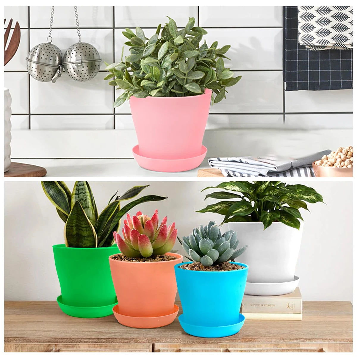 Mini Candy Colour Round Flower Pots for Succulents – Home & Office Décor