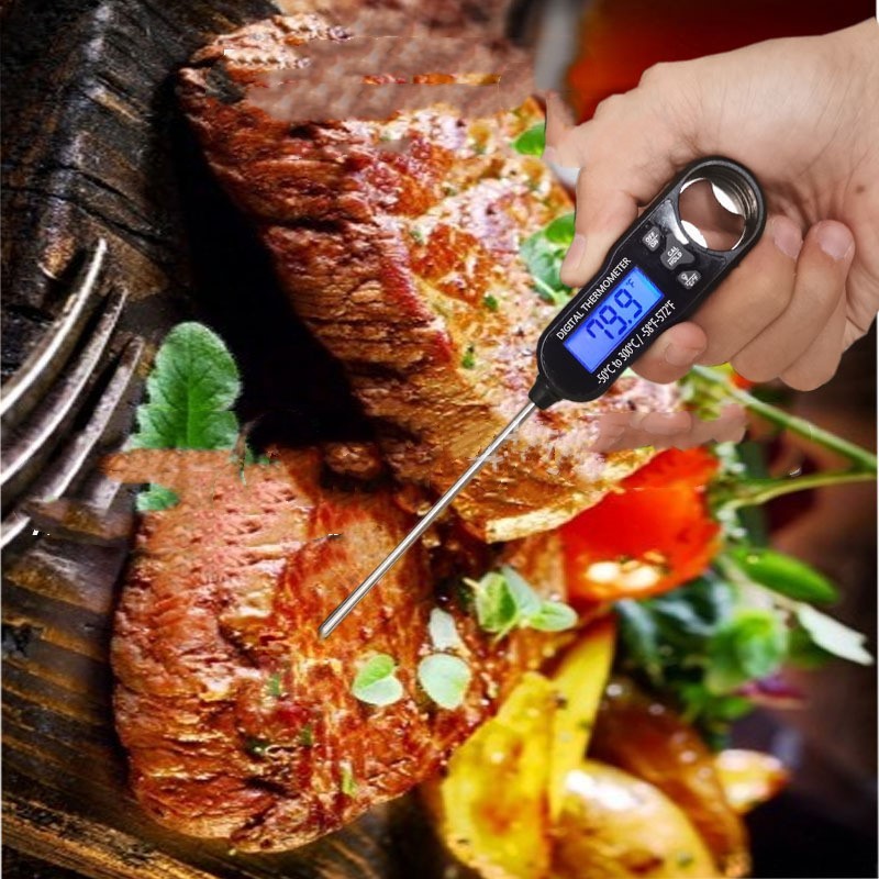 Instant-Read Meat Thermometer